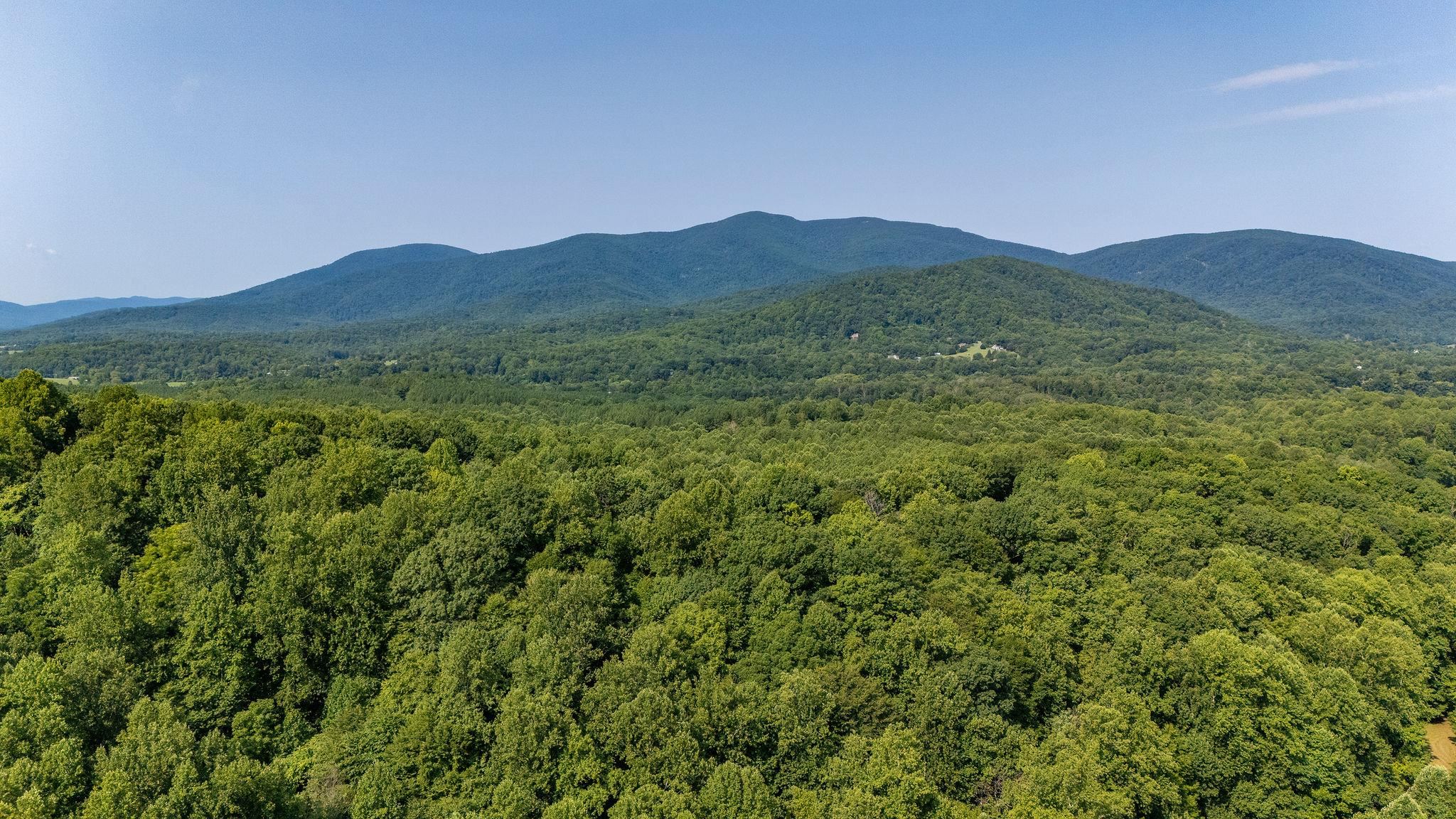 2476 ENNIS MOUNTAIN RD, AFTON, Virginia 22920, ,Farm,14,2476 ENNIS MOUNTAIN RD,655508 MLS # 655508