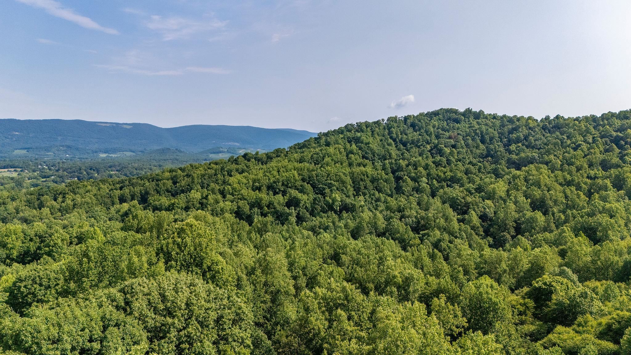 2476 ENNIS MOUNTAIN RD, AFTON, Virginia 22920, ,Farm,14,2476 ENNIS MOUNTAIN RD,655508 MLS # 655508