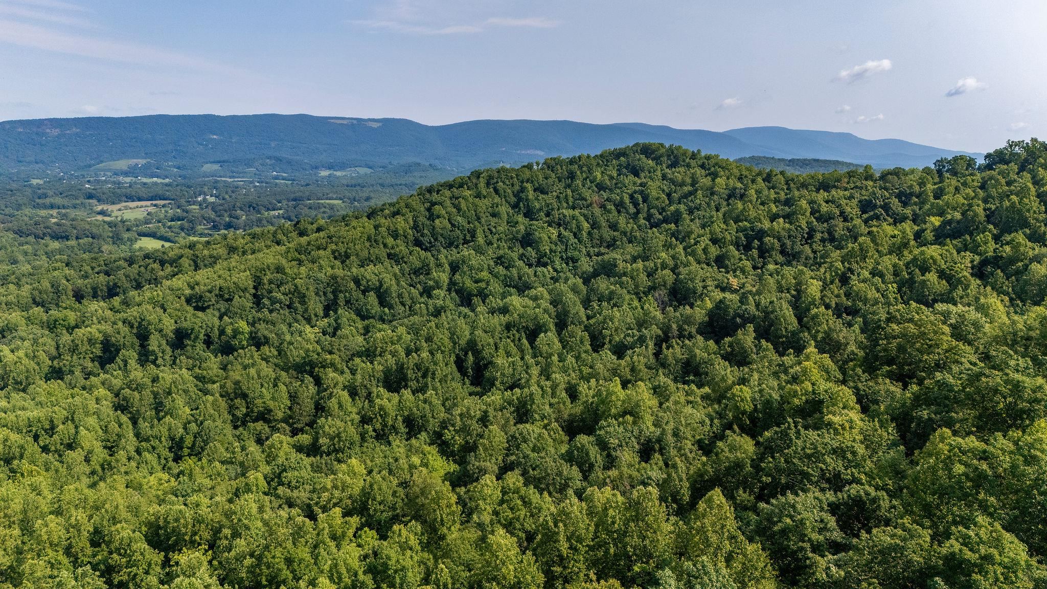 2476 ENNIS MOUNTAIN RD, AFTON, Virginia 22920, ,Farm,14,2476 ENNIS MOUNTAIN RD,655508 MLS # 655508