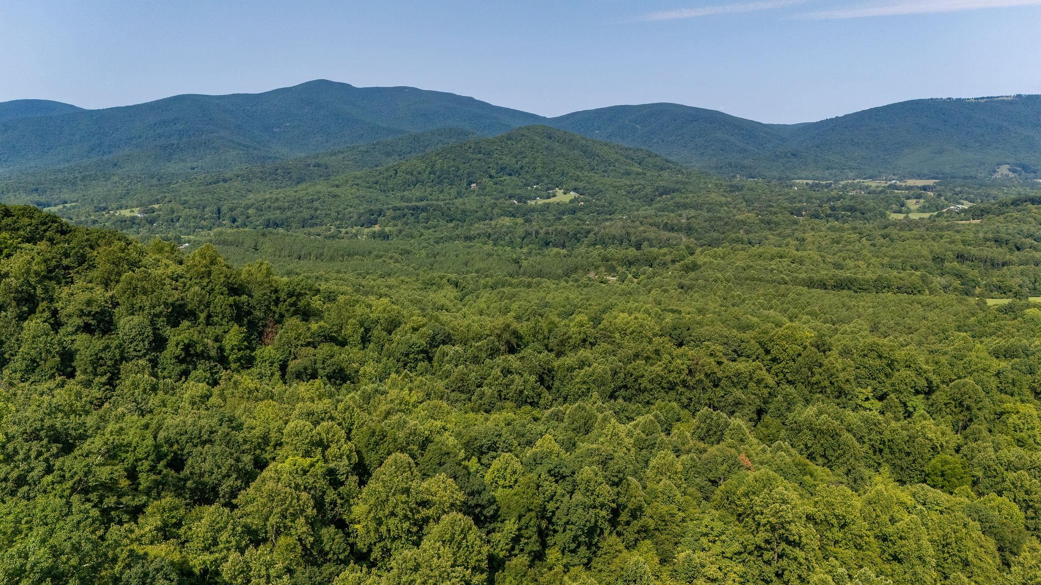 2476 ENNIS MOUNTAIN RD, AFTON, Virginia 22920, ,Farm,14,2476 ENNIS MOUNTAIN RD,655508 MLS # 655508