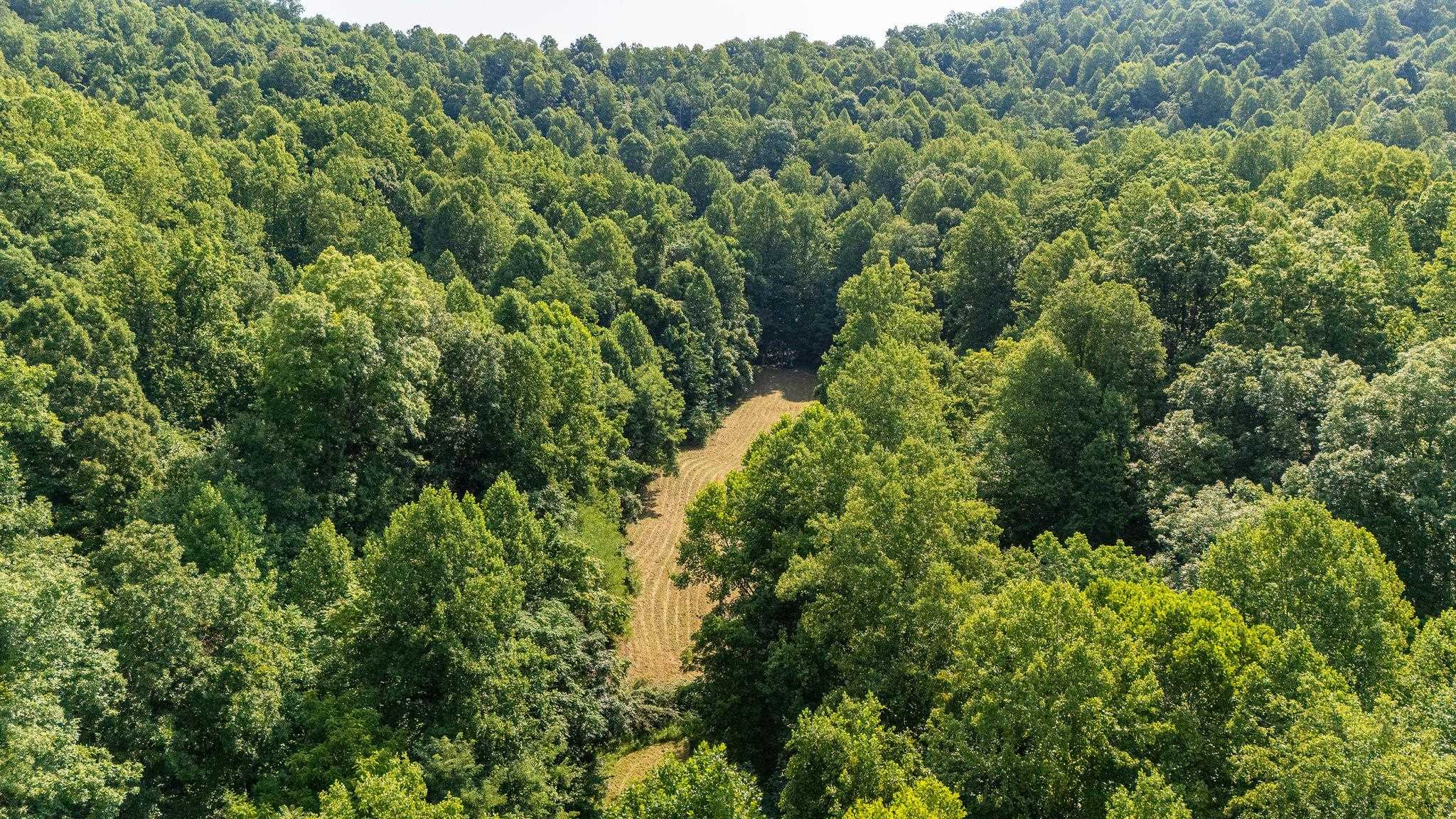 2476 ENNIS MOUNTAIN RD, AFTON, Virginia 22920, ,Farm,14,2476 ENNIS MOUNTAIN RD,655508 MLS # 655508