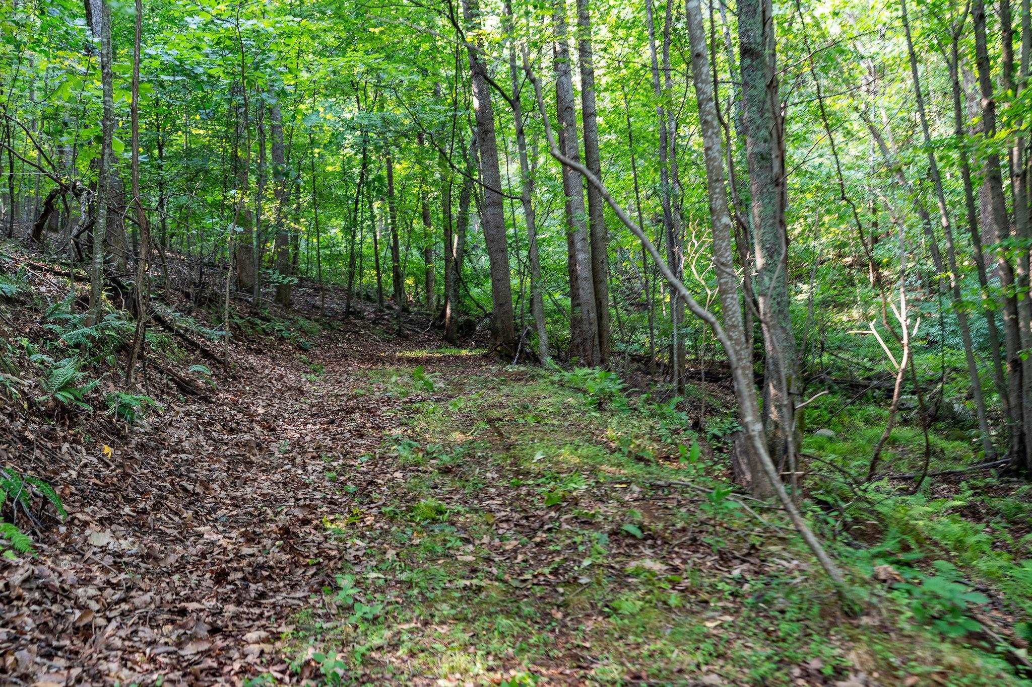 2476 ENNIS MOUNTAIN RD, AFTON, Virginia 22920, ,Farm,14,2476 ENNIS MOUNTAIN RD,655508 MLS # 655508