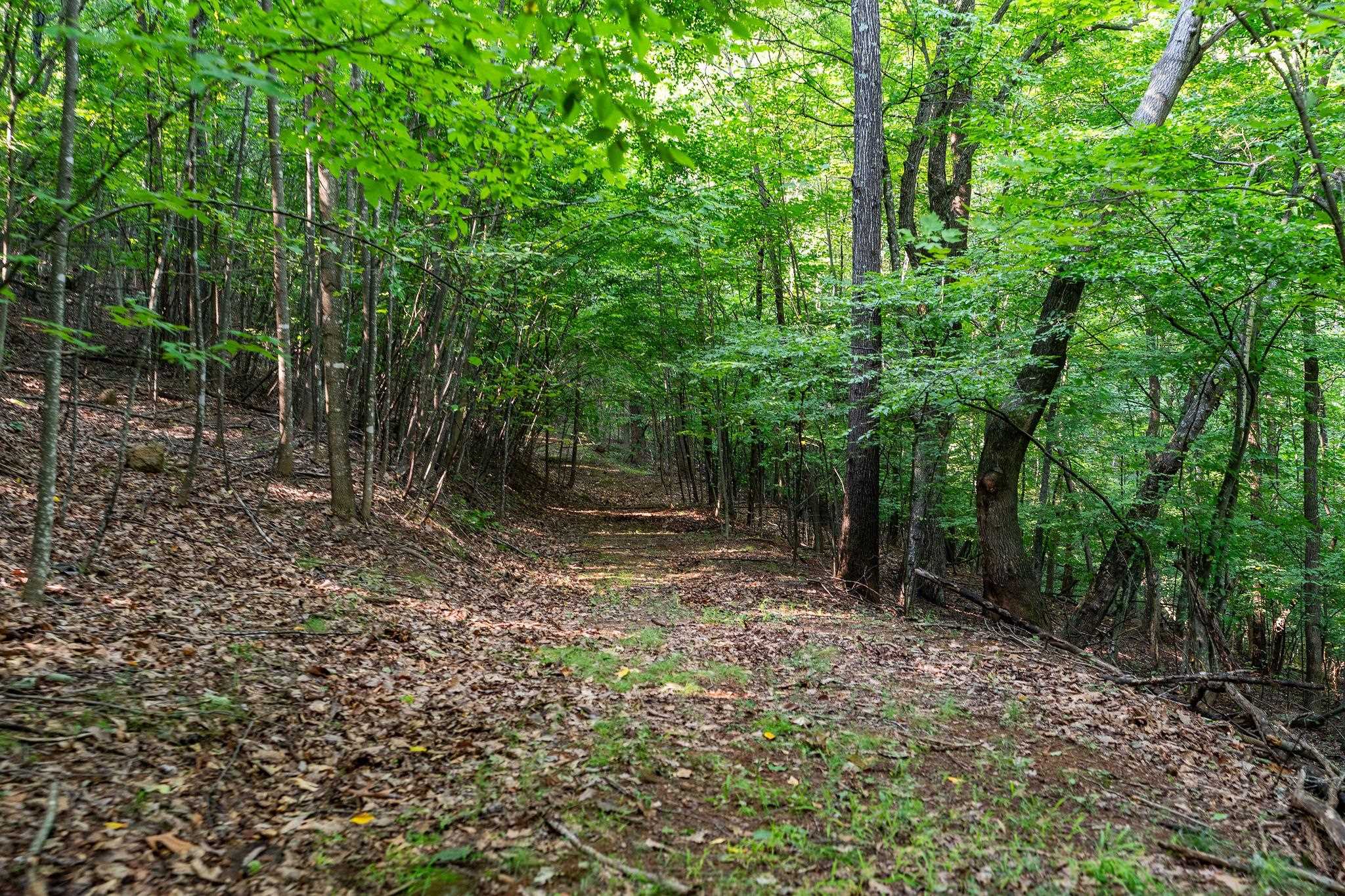 2476 ENNIS MOUNTAIN RD, AFTON, Virginia 22920, ,Farm,14,2476 ENNIS MOUNTAIN RD,655508 MLS # 655508