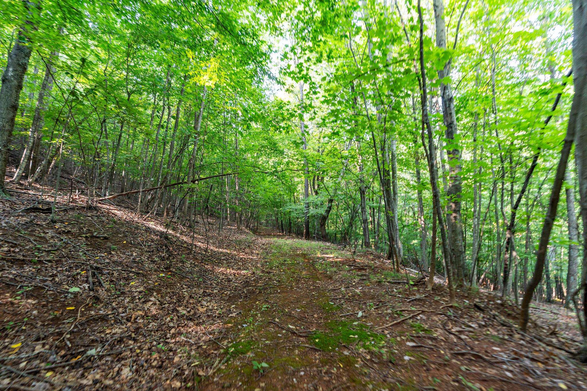 2476 ENNIS MOUNTAIN RD, AFTON, Virginia 22920, ,Farm,14,2476 ENNIS MOUNTAIN RD,655508 MLS # 655508