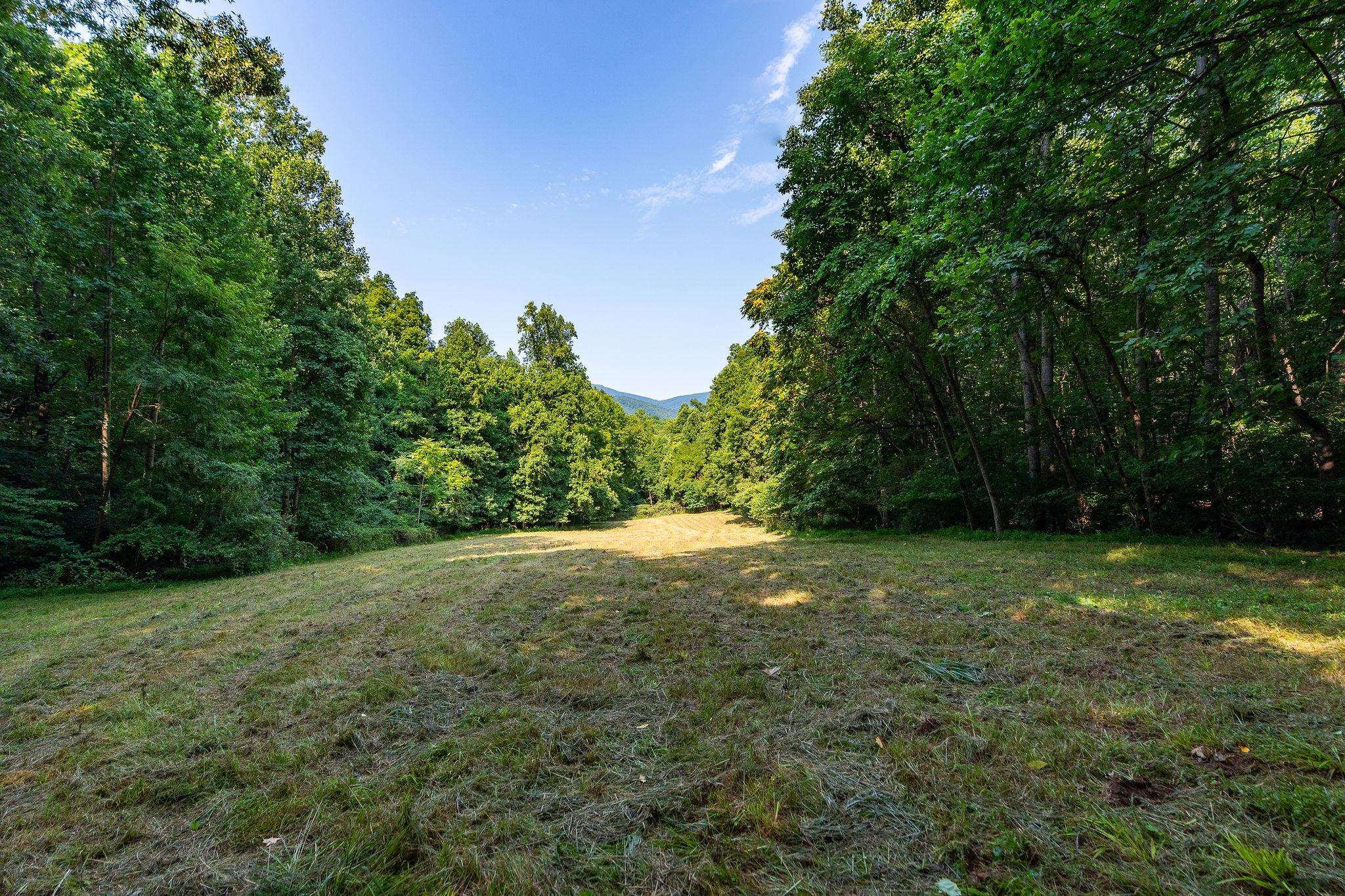 2476 ENNIS MOUNTAIN RD, AFTON, Virginia 22920, ,Farm,14,2476 ENNIS MOUNTAIN RD,655508 MLS # 655508