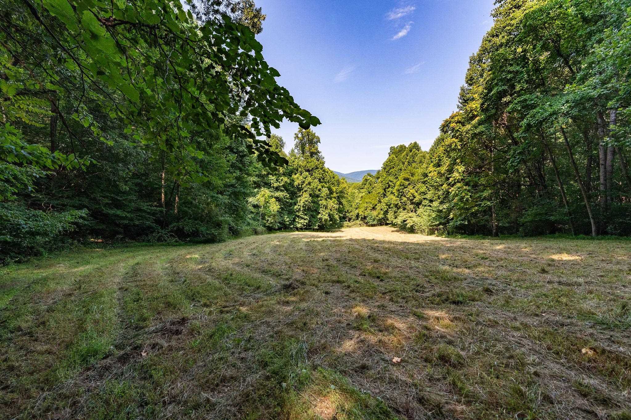 2476 ENNIS MOUNTAIN RD, AFTON, Virginia 22920, ,Farm,14,2476 ENNIS MOUNTAIN RD,655508 MLS # 655508