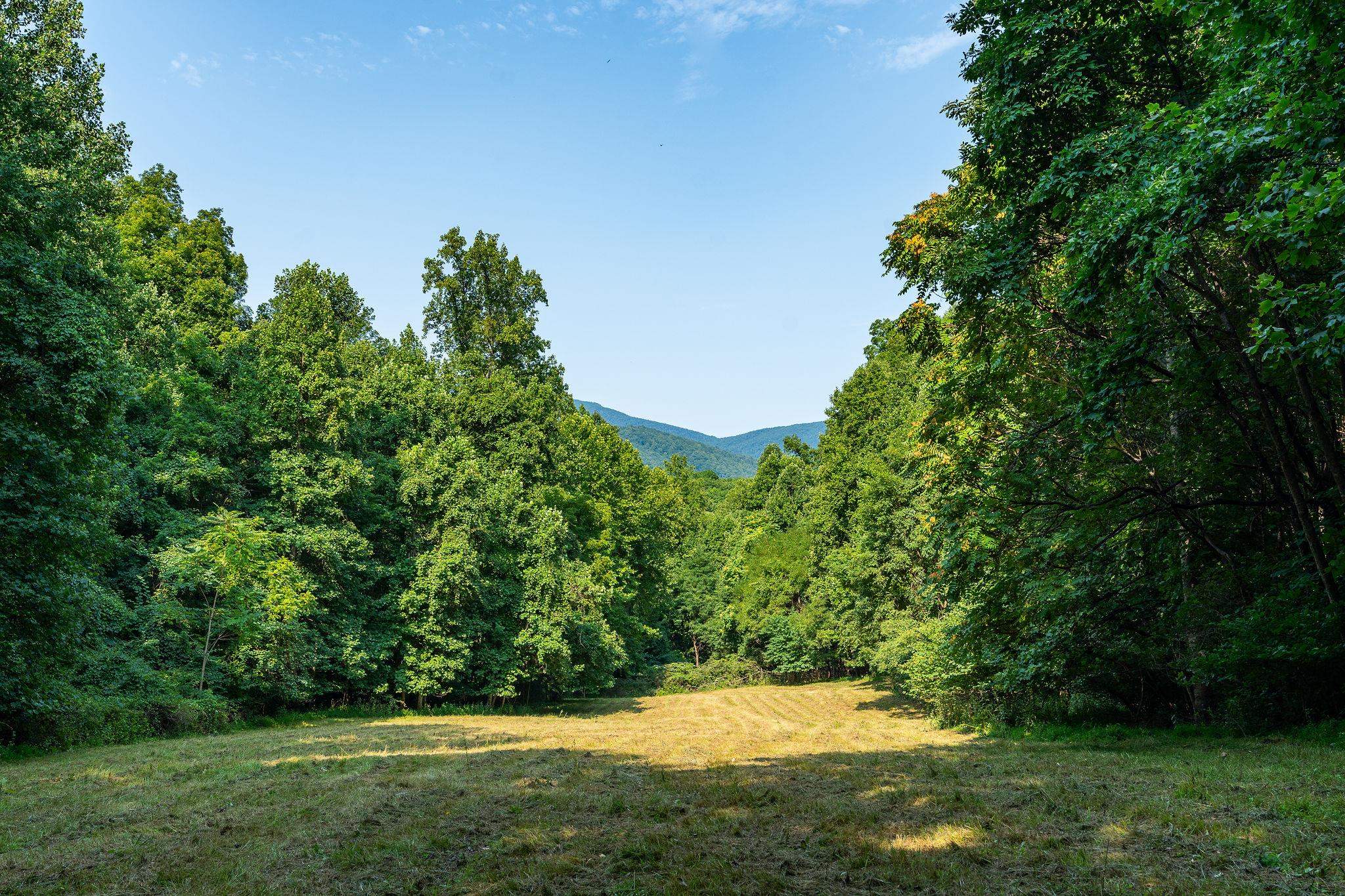 2476 ENNIS MOUNTAIN RD, AFTON, Virginia 22920, ,Farm,14,2476 ENNIS MOUNTAIN RD,655508 MLS # 655508