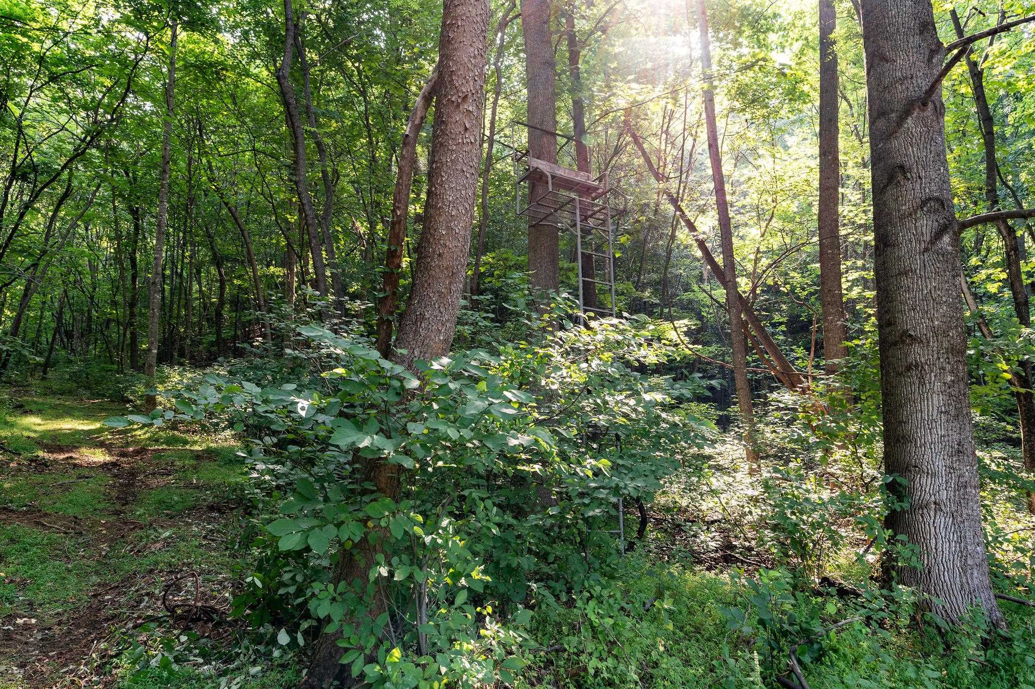 2476 ENNIS MOUNTAIN RD, AFTON, Virginia 22920, ,Farm,14,2476 ENNIS MOUNTAIN RD,655508 MLS # 655508