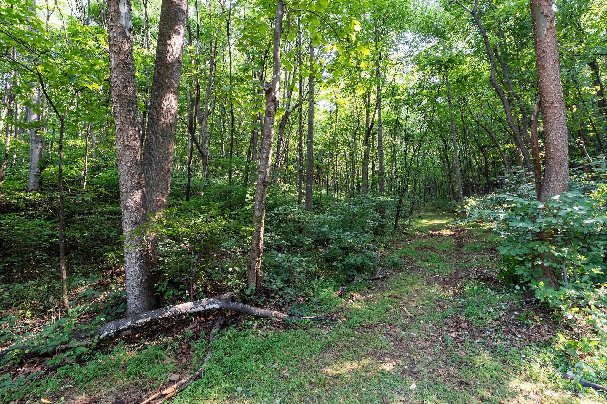 2476 ENNIS MOUNTAIN RD, AFTON, Virginia 22920, ,Farm,14,2476 ENNIS MOUNTAIN RD,655508 MLS # 655508