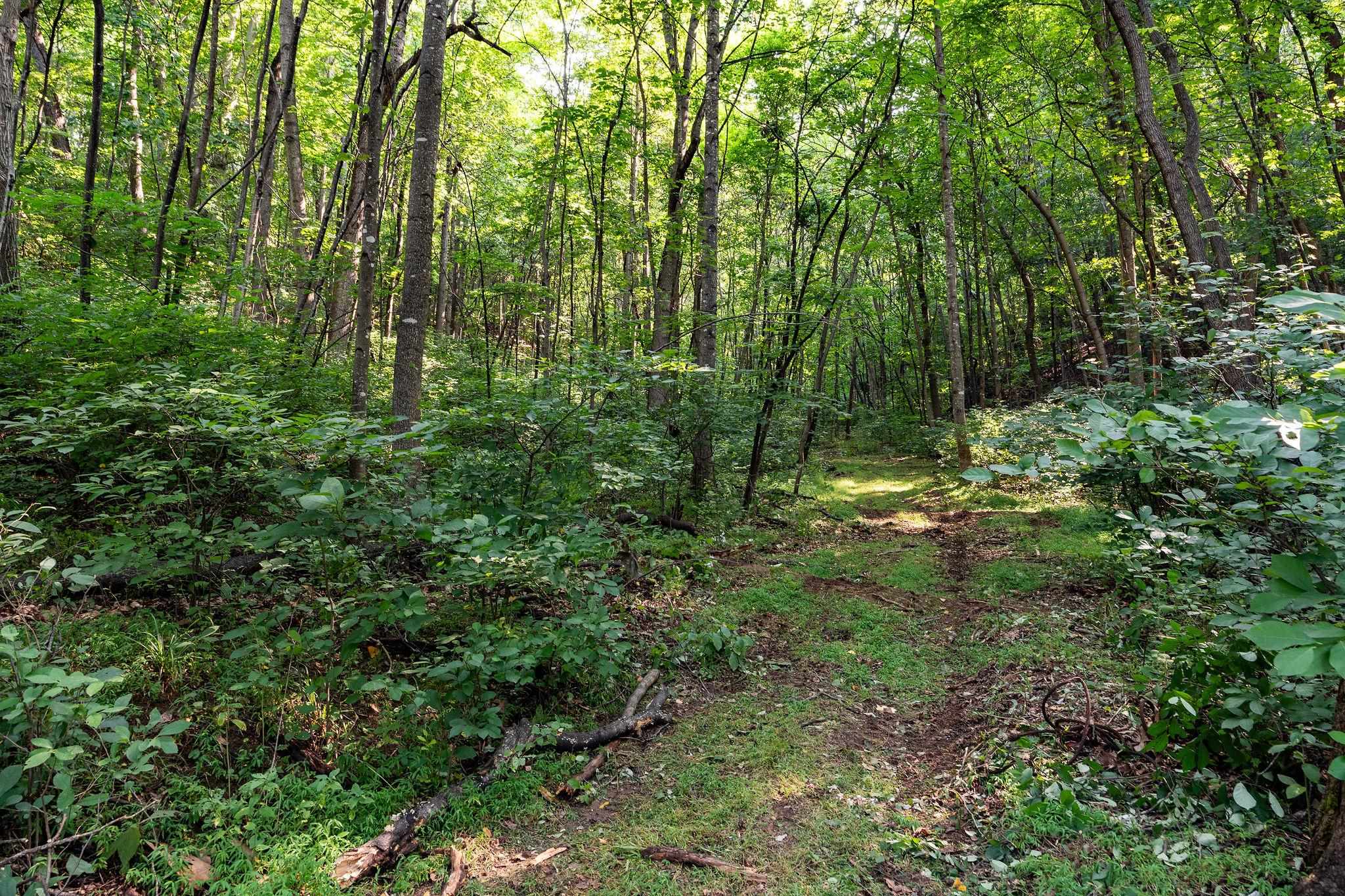 2476 ENNIS MOUNTAIN RD, AFTON, Virginia 22920, ,Farm,14,2476 ENNIS MOUNTAIN RD,655508 MLS # 655508