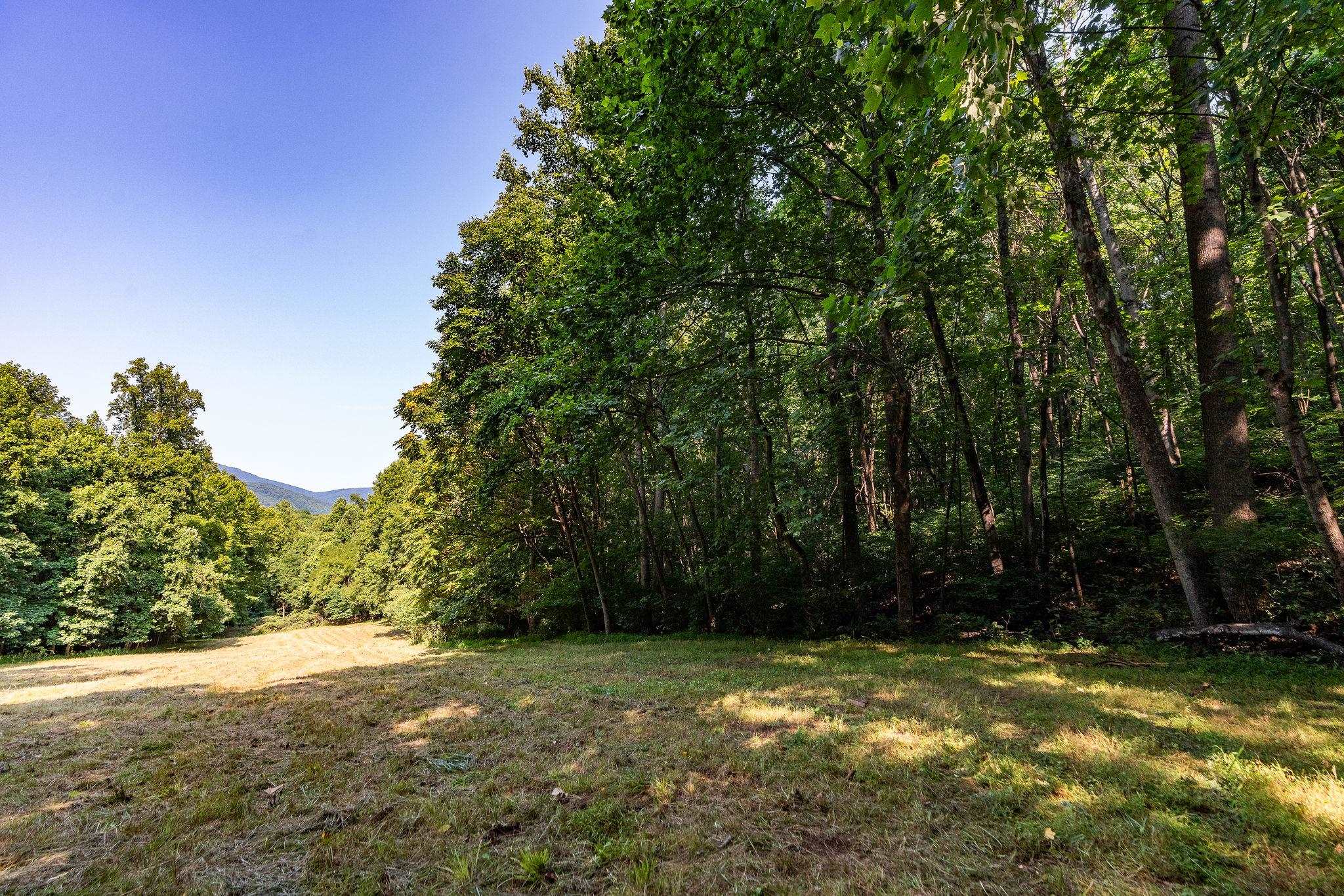 2476 ENNIS MOUNTAIN RD, AFTON, Virginia 22920, ,Farm,14,2476 ENNIS MOUNTAIN RD,655508 MLS # 655508