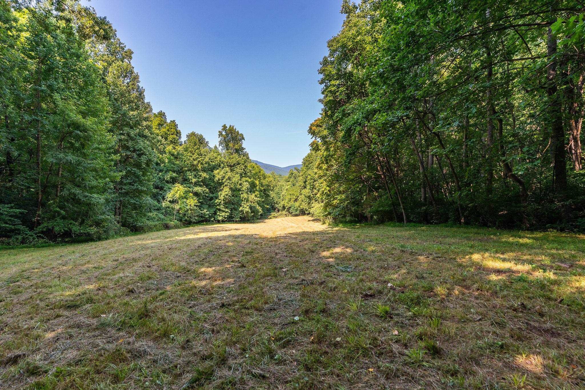 2476 ENNIS MOUNTAIN RD, AFTON, Virginia 22920, ,Farm,14,2476 ENNIS MOUNTAIN RD,655508 MLS # 655508