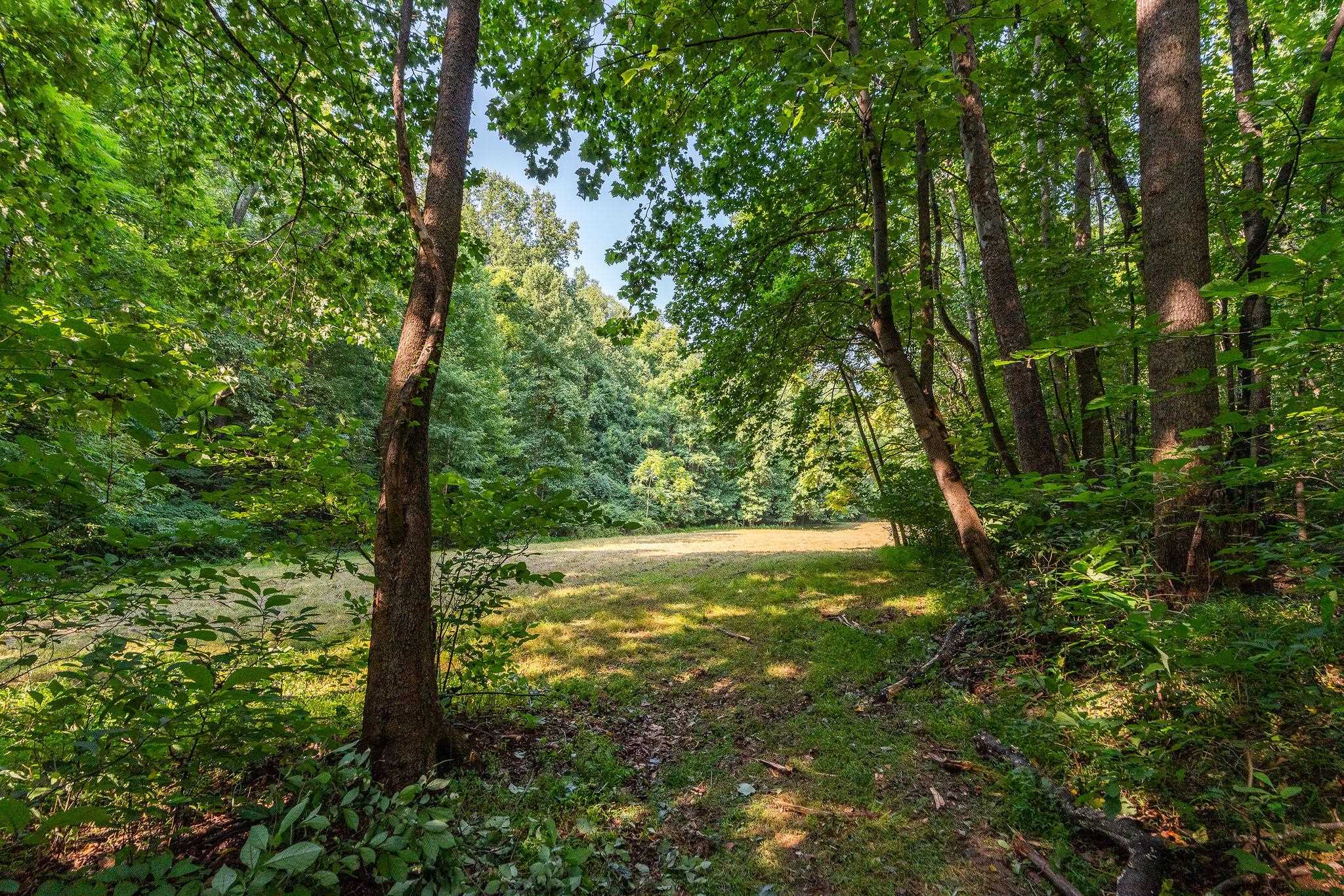 2476 ENNIS MOUNTAIN RD, AFTON, Virginia 22920, ,Farm,14,2476 ENNIS MOUNTAIN RD,655508 MLS # 655508