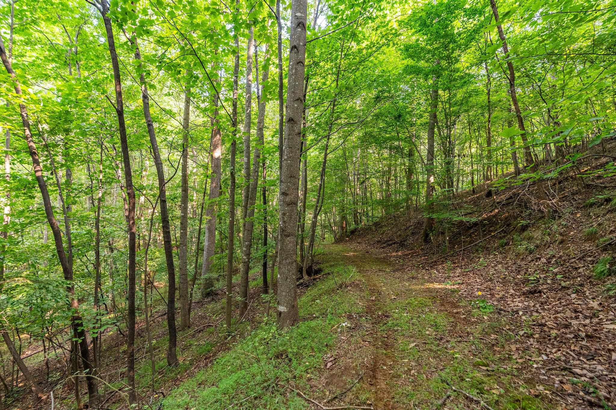 2476 ENNIS MOUNTAIN RD, AFTON, Virginia 22920, ,Farm,14,2476 ENNIS MOUNTAIN RD,655508 MLS # 655508