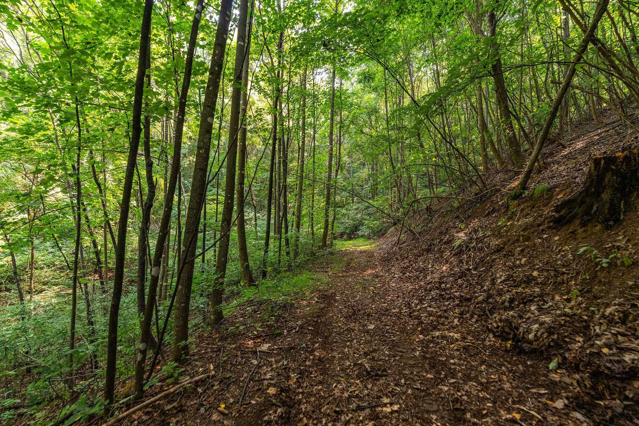 2476 ENNIS MOUNTAIN RD, AFTON, Virginia 22920, ,Farm,14,2476 ENNIS MOUNTAIN RD,655508 MLS # 655508