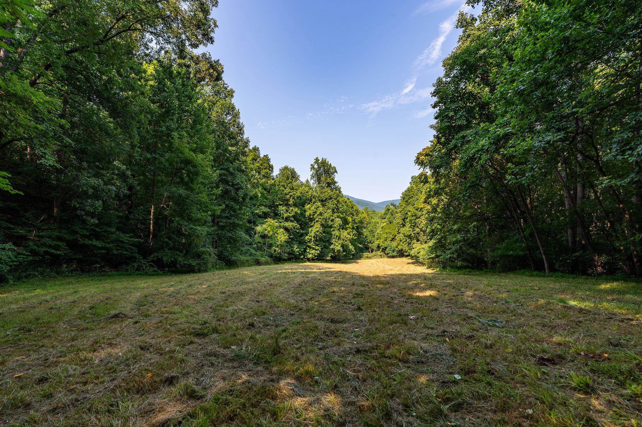 2476 ENNIS MOUNTAIN RD, AFTON, Virginia 22920, ,Farm,14,2476 ENNIS MOUNTAIN RD,655508 MLS # 655508