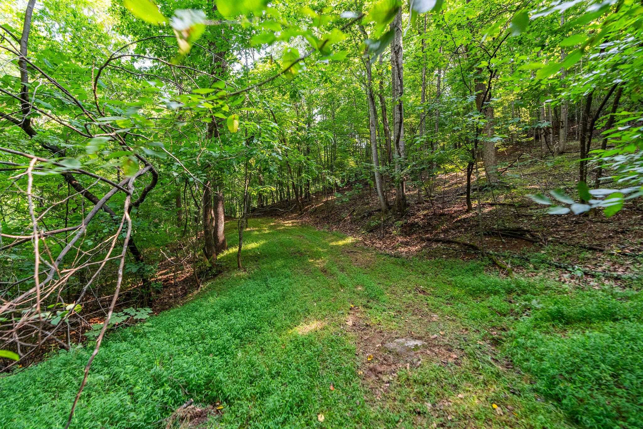 2476 ENNIS MOUNTAIN RD, AFTON, Virginia 22920, ,Farm,14,2476 ENNIS MOUNTAIN RD,655508 MLS # 655508