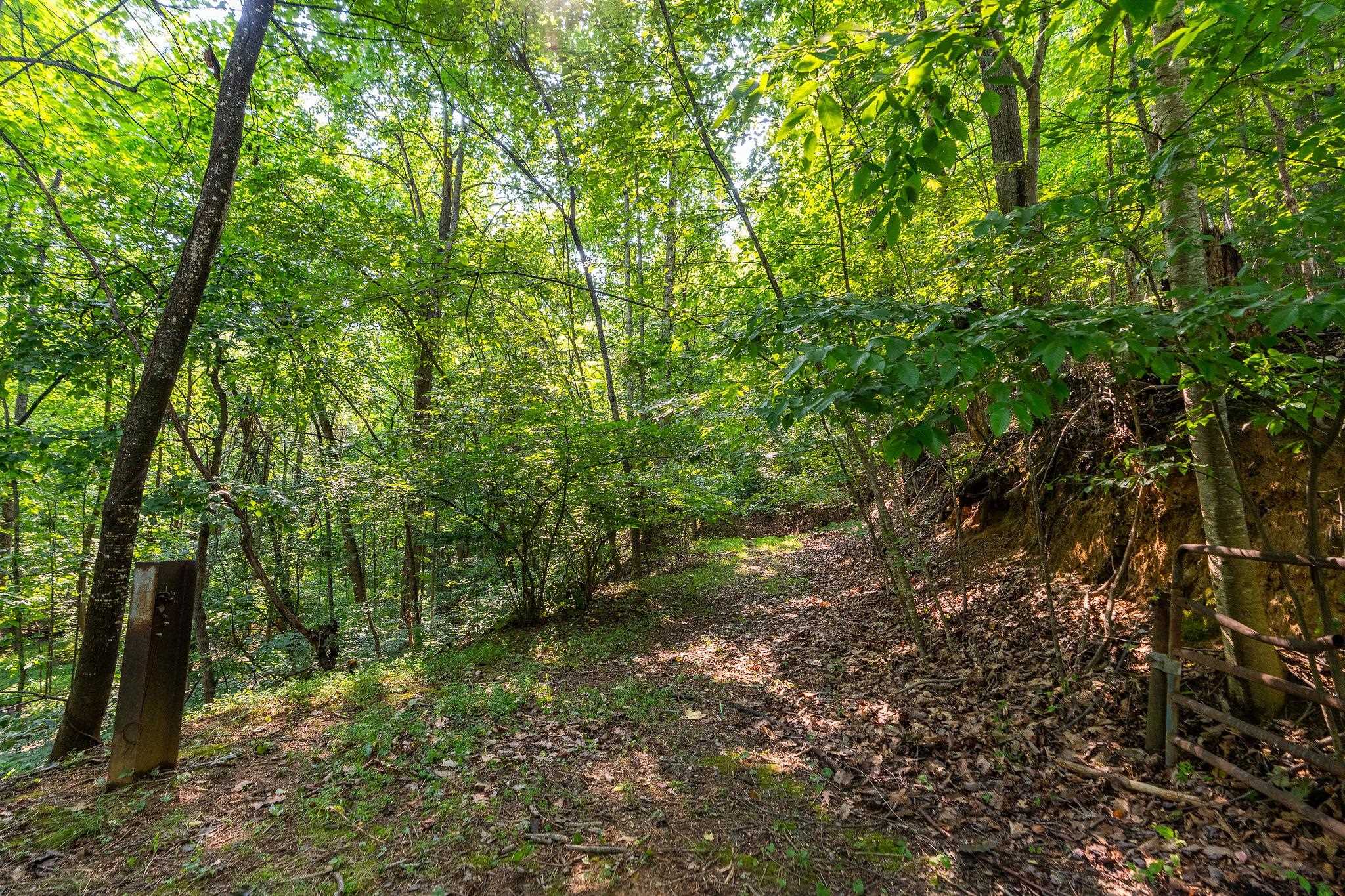 2476 ENNIS MOUNTAIN RD, AFTON, Virginia 22920, ,Farm,14,2476 ENNIS MOUNTAIN RD,655508 MLS # 655508