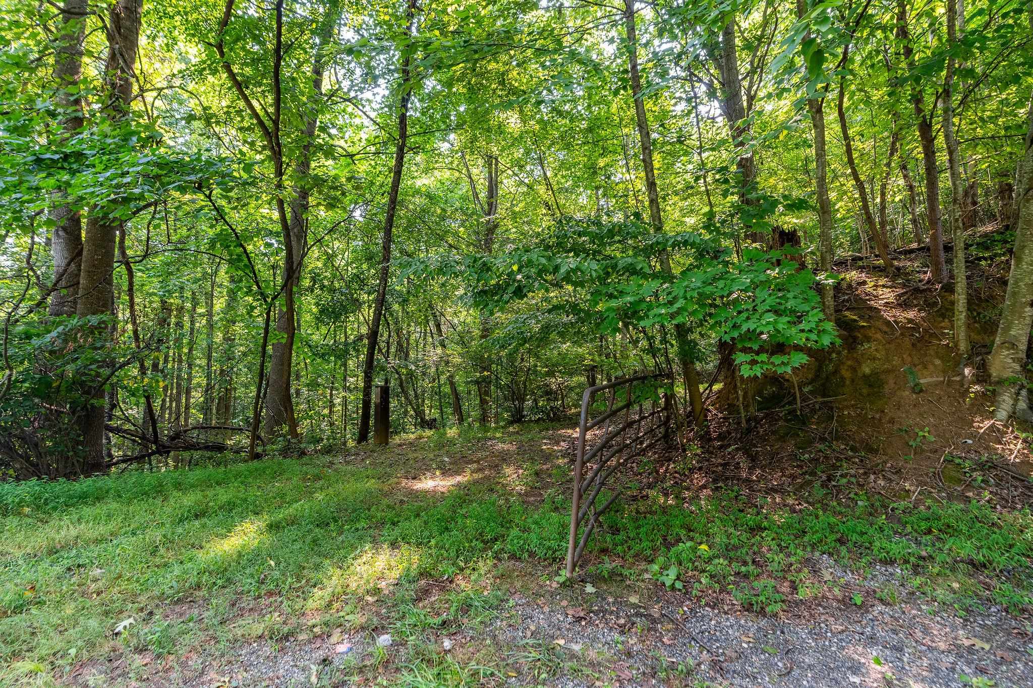 2476 ENNIS MOUNTAIN RD, AFTON, Virginia 22920, ,Farm,14,2476 ENNIS MOUNTAIN RD,655508 MLS # 655508