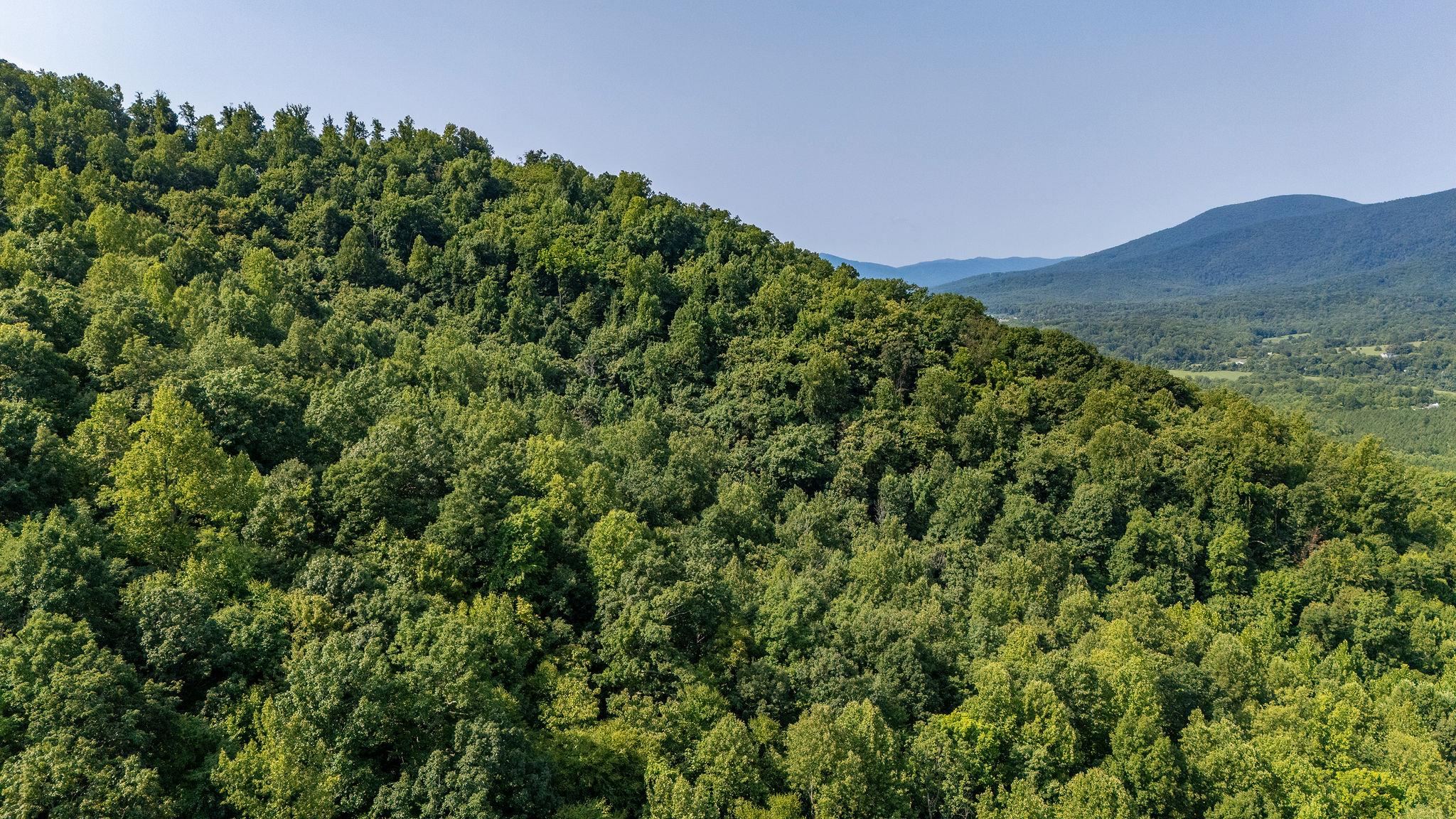 2476 ENNIS MOUNTAIN RD, AFTON, Virginia 22920, ,Farm,14,2476 ENNIS MOUNTAIN RD,655508 MLS # 655508