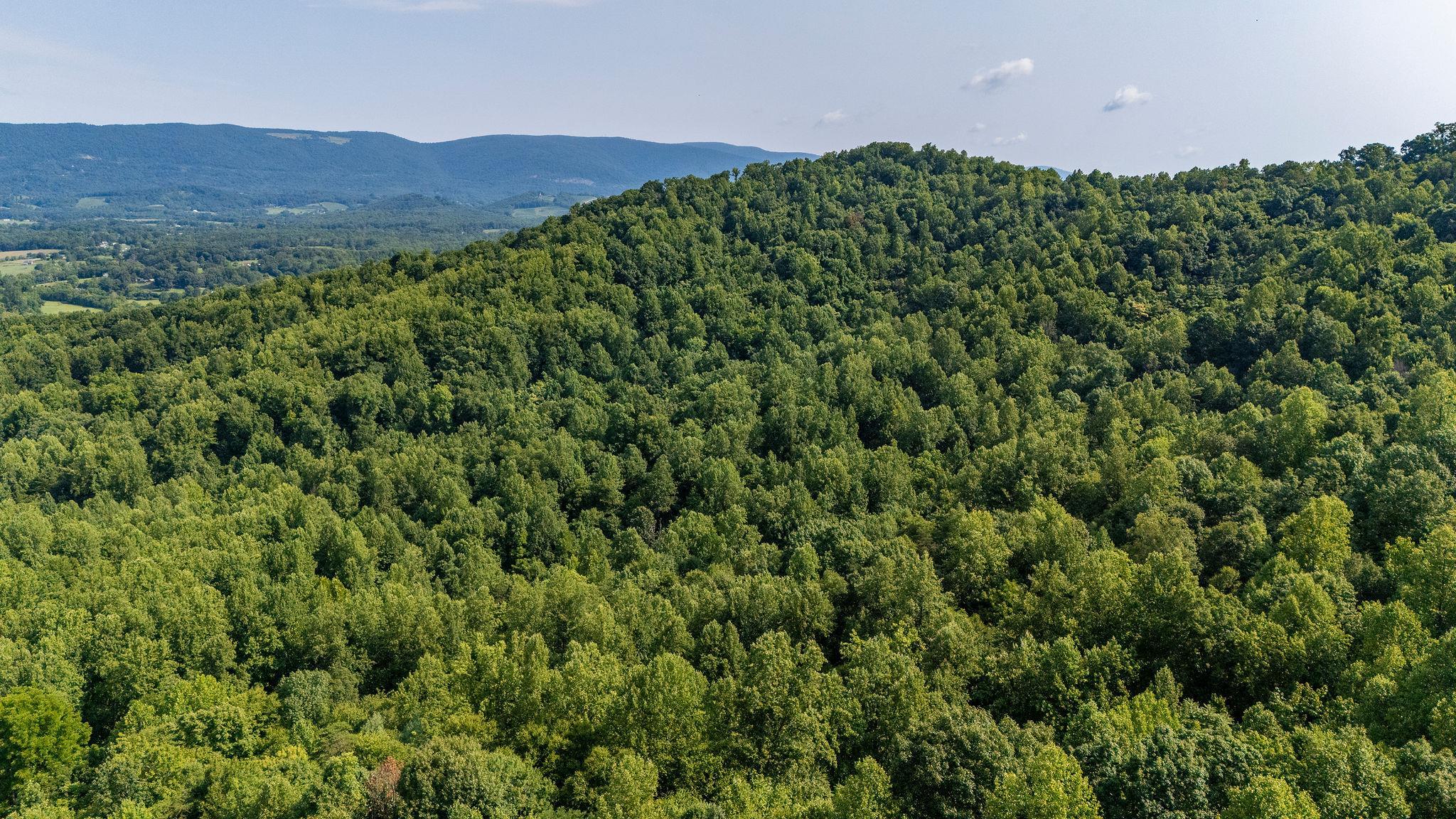 2476 ENNIS MOUNTAIN RD, AFTON, Virginia 22920, ,Farm,14,2476 ENNIS MOUNTAIN RD,655508 MLS # 655508