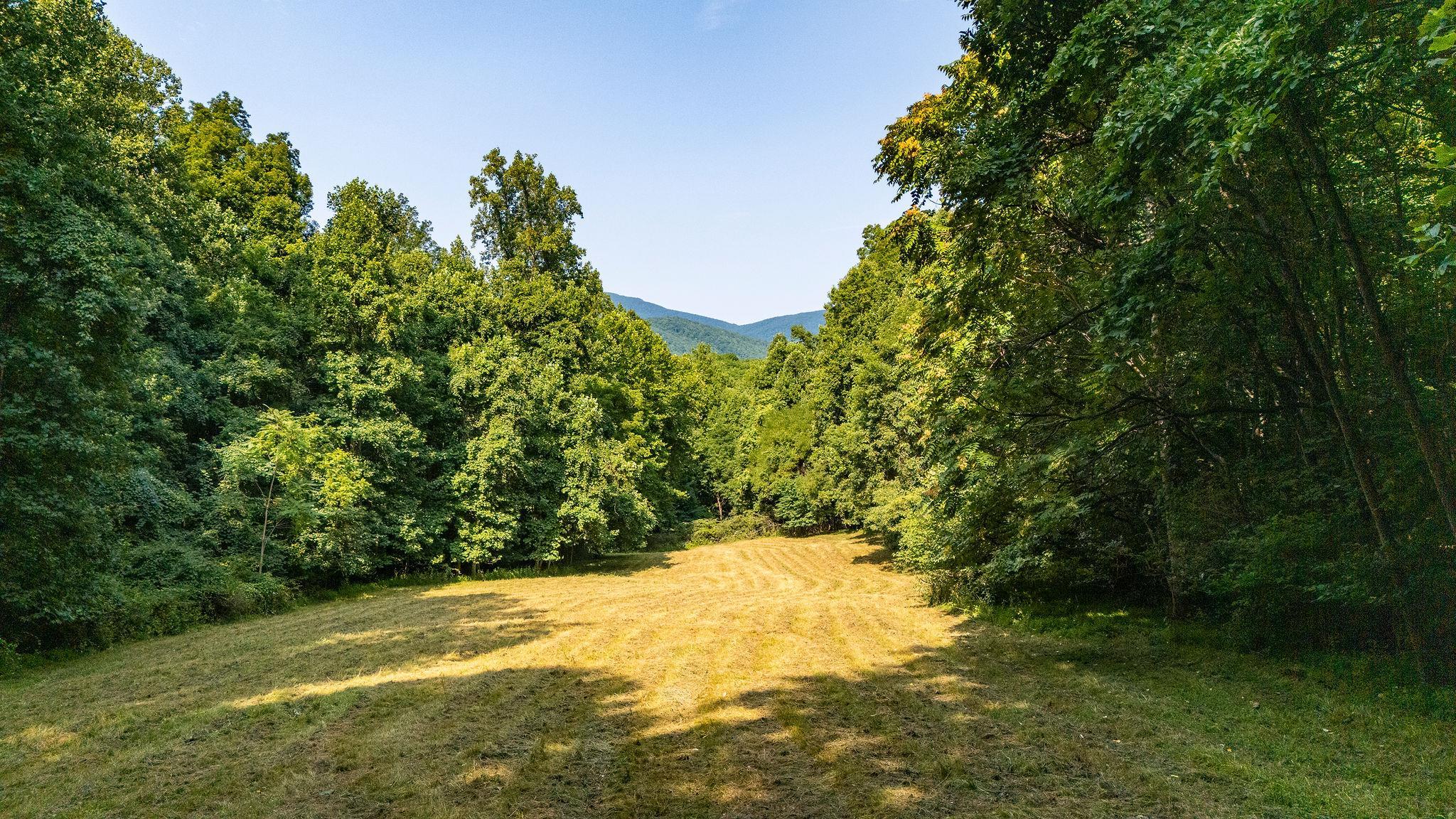 2476 ENNIS MOUNTAIN RD, AFTON, Virginia 22920, ,Farm,14,2476 ENNIS MOUNTAIN RD,655508 MLS # 655508