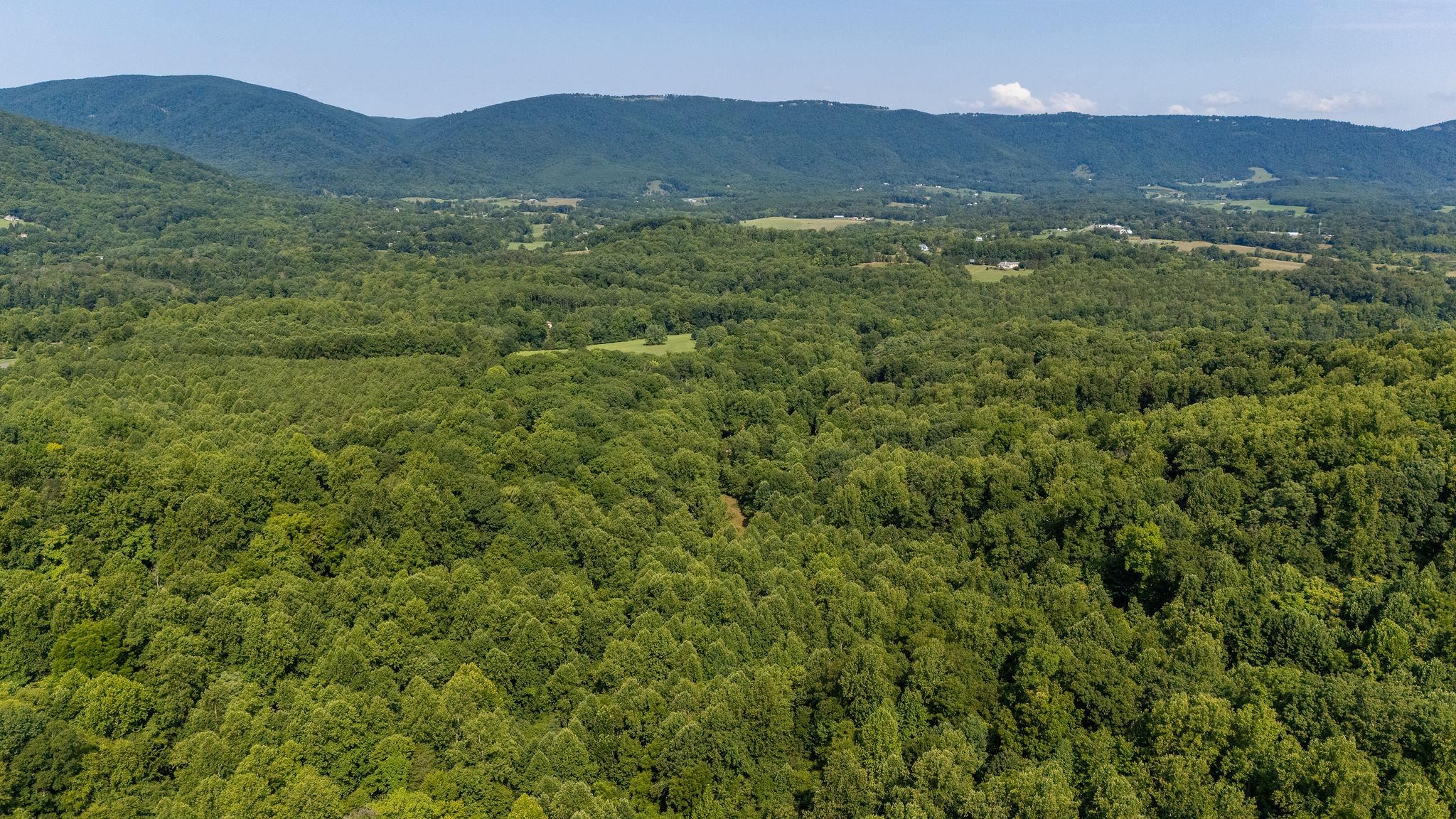 2476 ENNIS MOUNTAIN RD, AFTON, Virginia 22920, ,Farm,14,2476 ENNIS MOUNTAIN RD,655508 MLS # 655508