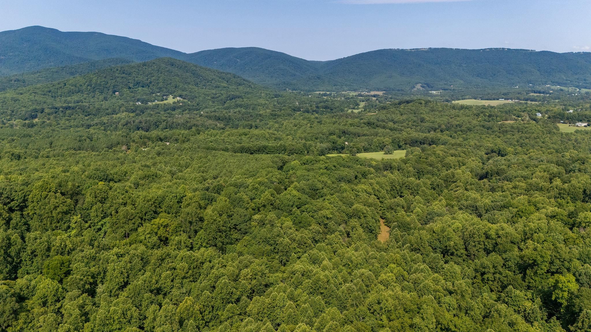 2476 ENNIS MOUNTAIN RD, AFTON, Virginia 22920, ,Farm,14,2476 ENNIS MOUNTAIN RD,655508 MLS # 655508