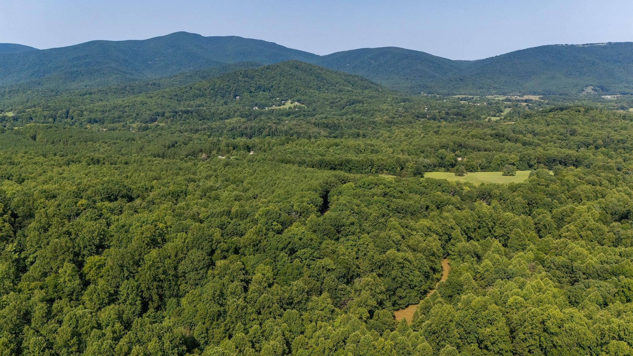 2476 ENNIS MOUNTAIN RD, AFTON, Virginia 22920, ,Farm,14,2476 ENNIS MOUNTAIN RD,655508 MLS # 655508