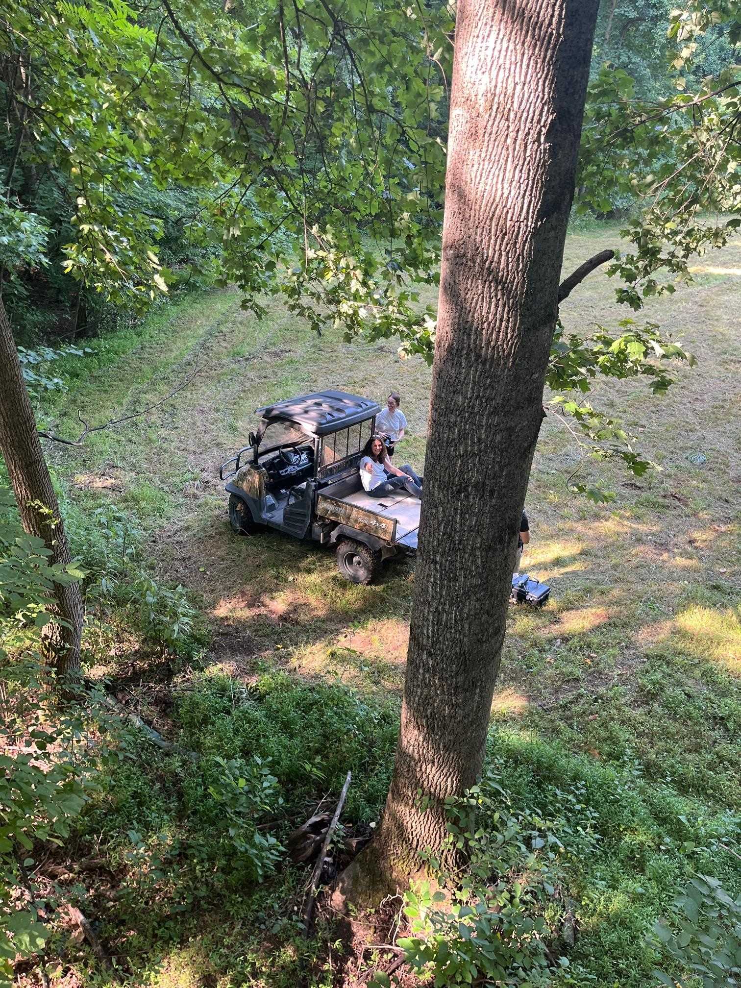 2476 ENNIS MOUNTAIN RD, AFTON, Virginia 22920, ,Farm,14,2476 ENNIS MOUNTAIN RD,655508 MLS # 655508