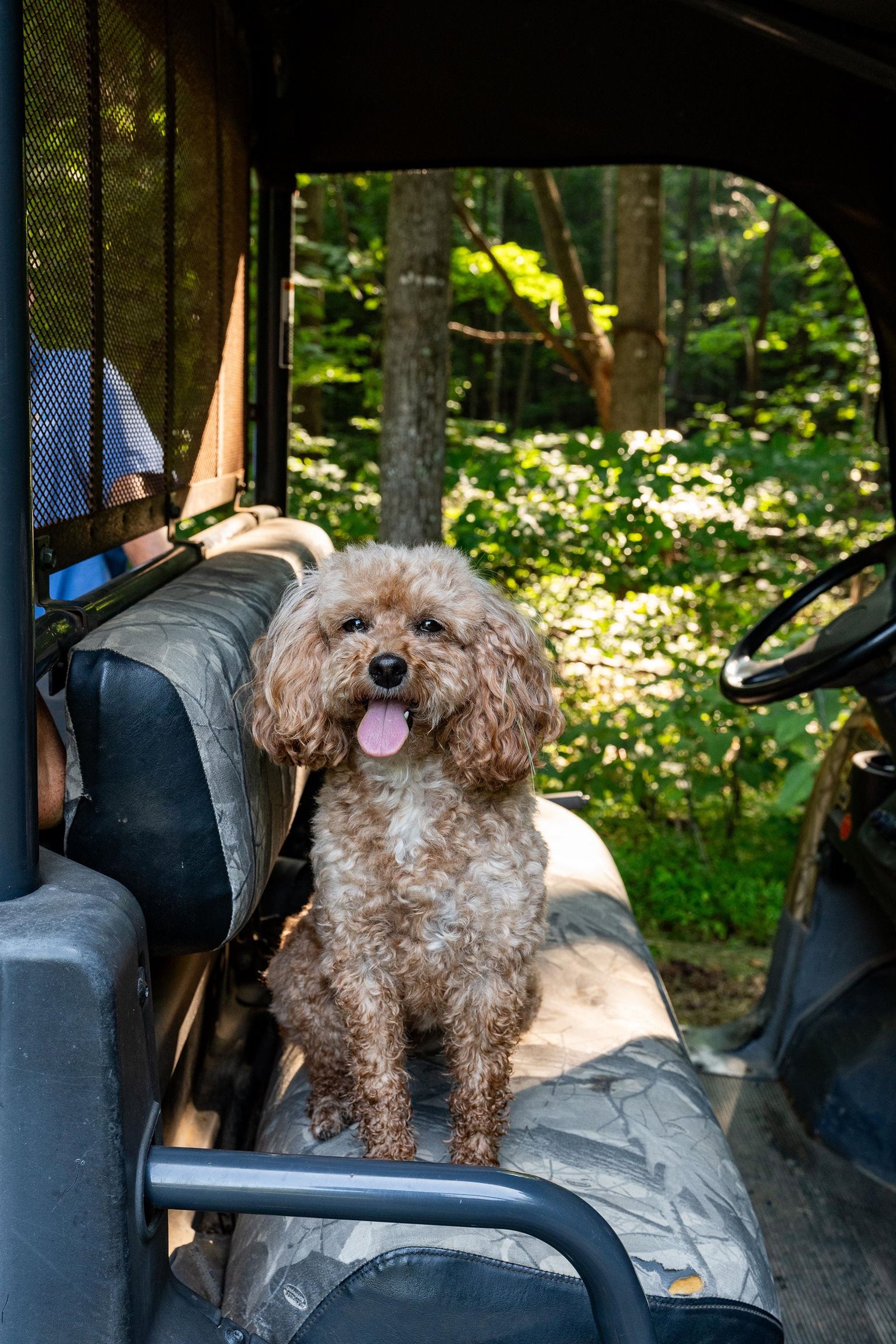 2476 ENNIS MOUNTAIN RD, AFTON, Virginia 22920, ,Farm,14,2476 ENNIS MOUNTAIN RD,655508 MLS # 655508