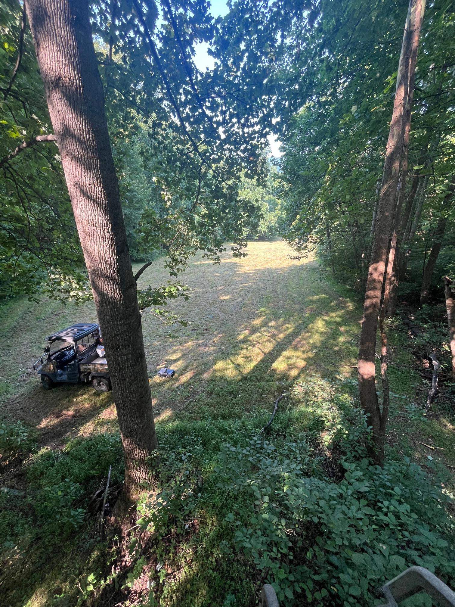 2476 ENNIS MOUNTAIN RD, AFTON, Virginia 22920, ,Farm,14,2476 ENNIS MOUNTAIN RD,655508 MLS # 655508