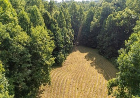 2476 ENNIS MOUNTAIN RD, AFTON, Virginia 22920, ,Farm,14,2476 ENNIS MOUNTAIN RD,655508 MLS # 655508 2476 ENNIS MOUNTAIN RD, AFTON, Virginia 22920, ,Farm,14,2476 ENNIS MOUNTAIN RD,655508 MLS # 655508