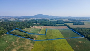 TBD DOE HILL RD, PORT REPUBLIC, Virginia 24471, ,Land,14,TBD DOE HILL RD,655620 MLS # 655620