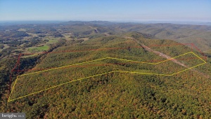 HIGGS RD NW, WILLIS, Virginia 24380, ,Farm,For Sale,HIGGS RD NW,VAFD2000010 MLS # VAFD2000010