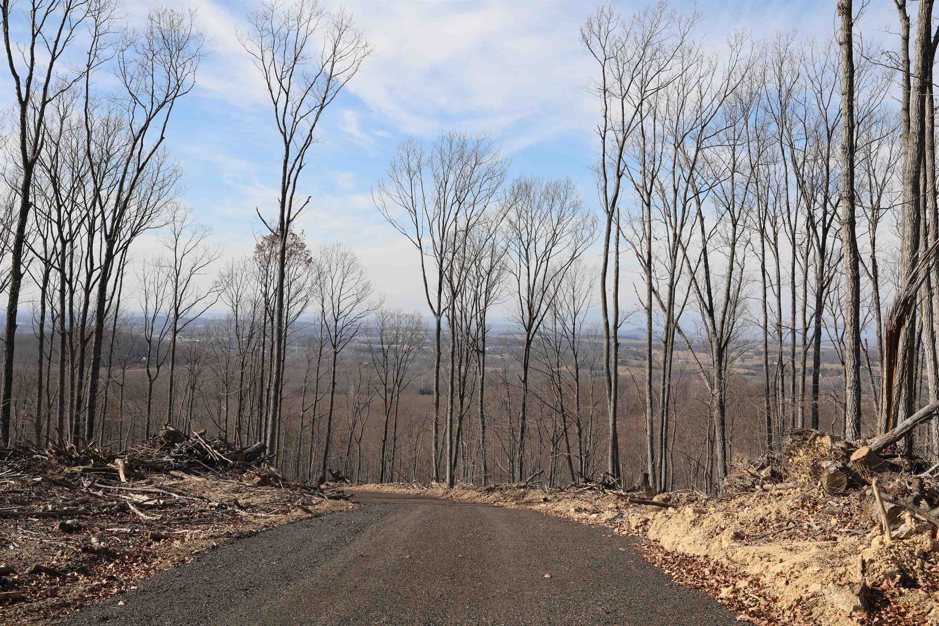 TBD1 CALF MOUNTAIN RD, WAYNESBORO, Virginia 22980, ,Farm,14,TBD1 CALF MOUNTAIN RD,644970 MLS # 644970 TBD1 CALF MOUNTAIN RD, WAYNESBORO, Virginia 22980, ,Farm,14,TBD1 CALF MOUNTAIN RD,644970 MLS # 644970