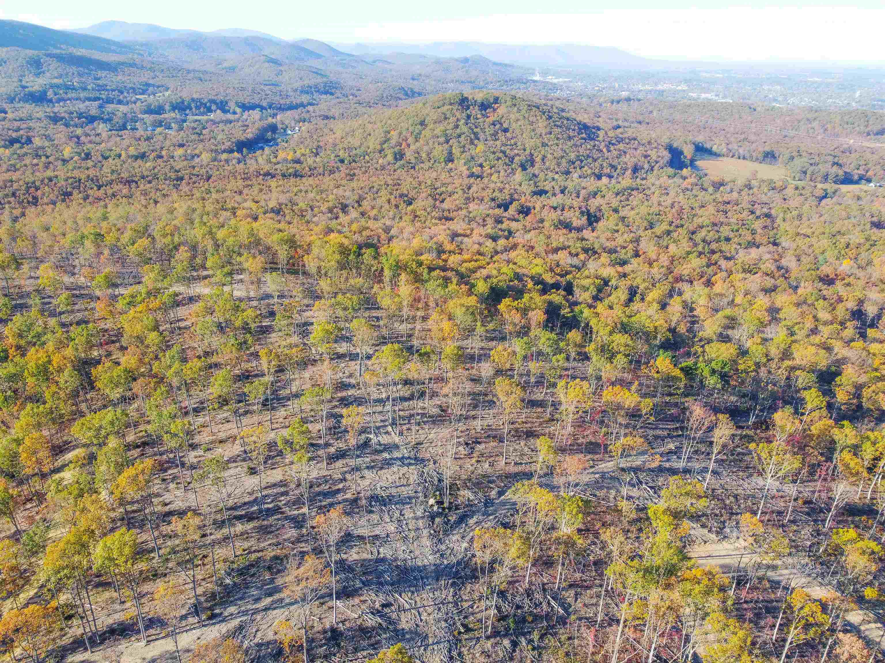 TBD1 CALF MOUNTAIN RD, WAYNESBORO, Virginia 22980, ,Farm,14,TBD1 CALF MOUNTAIN RD,644970 MLS # 644970 TBD1 CALF MOUNTAIN RD, WAYNESBORO, Virginia 22980, ,Farm,14,TBD1 CALF MOUNTAIN RD,644970 MLS # 644970