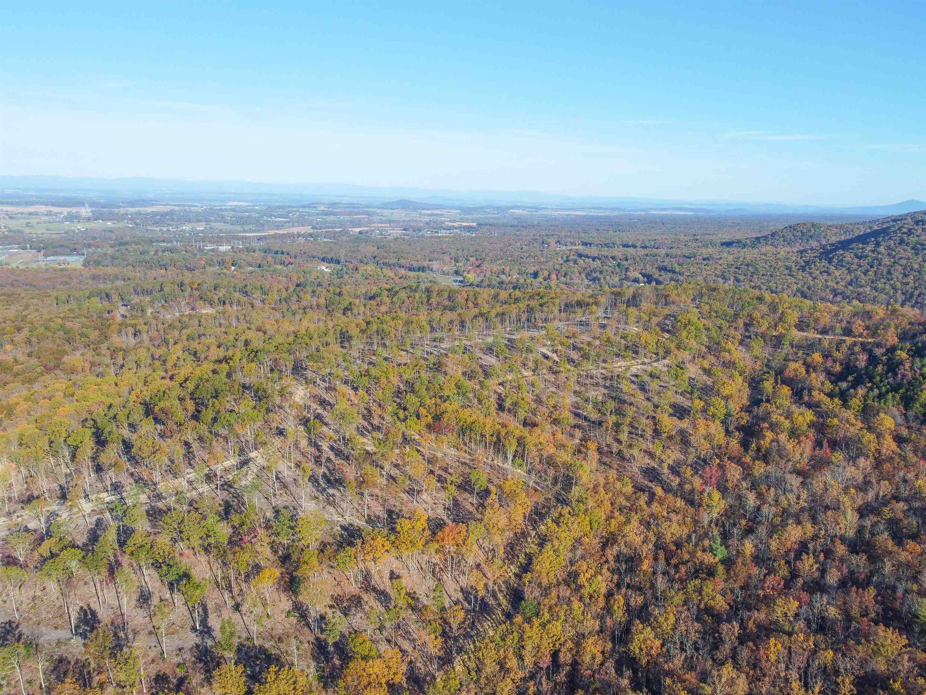 TBD1 CALF MOUNTAIN RD, WAYNESBORO, Virginia 22980, ,Farm,14,TBD1 CALF MOUNTAIN RD,644970 MLS # 644970 TBD1 CALF MOUNTAIN RD, WAYNESBORO, Virginia 22980, ,Farm,14,TBD1 CALF MOUNTAIN RD,644970 MLS # 644970