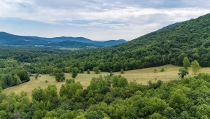 96 Acres BLACKWELLS HOLLOW RD, CROZET, Virginia 22932, ,Farm,14,96 Acres BLACKWELLS HOLLOW RD,655853 MLS # 655853