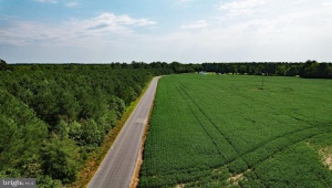 0 LEWIS MOORE RD, RUTHER GLEN, Virginia 22546, ,Land,For Sale,0 LEWIS MOORE RD,VACV2006594 MLS # VACV2006594