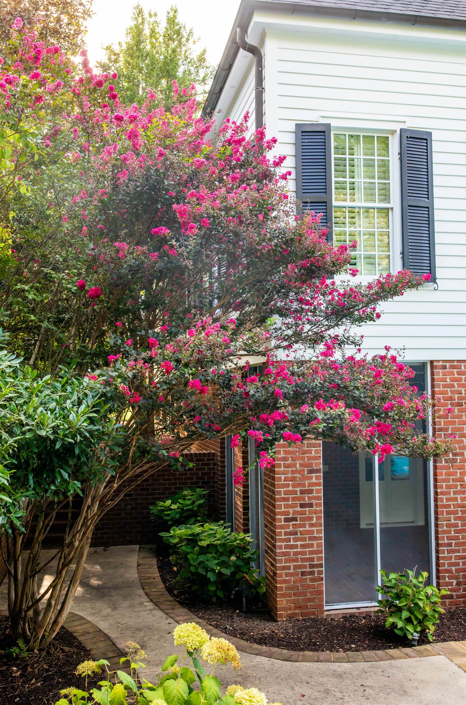 995 OLD WHITE BRIDGE RD, WAYNESBORO, Virginia 22980, 5 Bedrooms Bedrooms, ,4 BathroomsBathrooms,Residential,14,995 OLD WHITE BRIDGE RD,656380 MLS # 656380