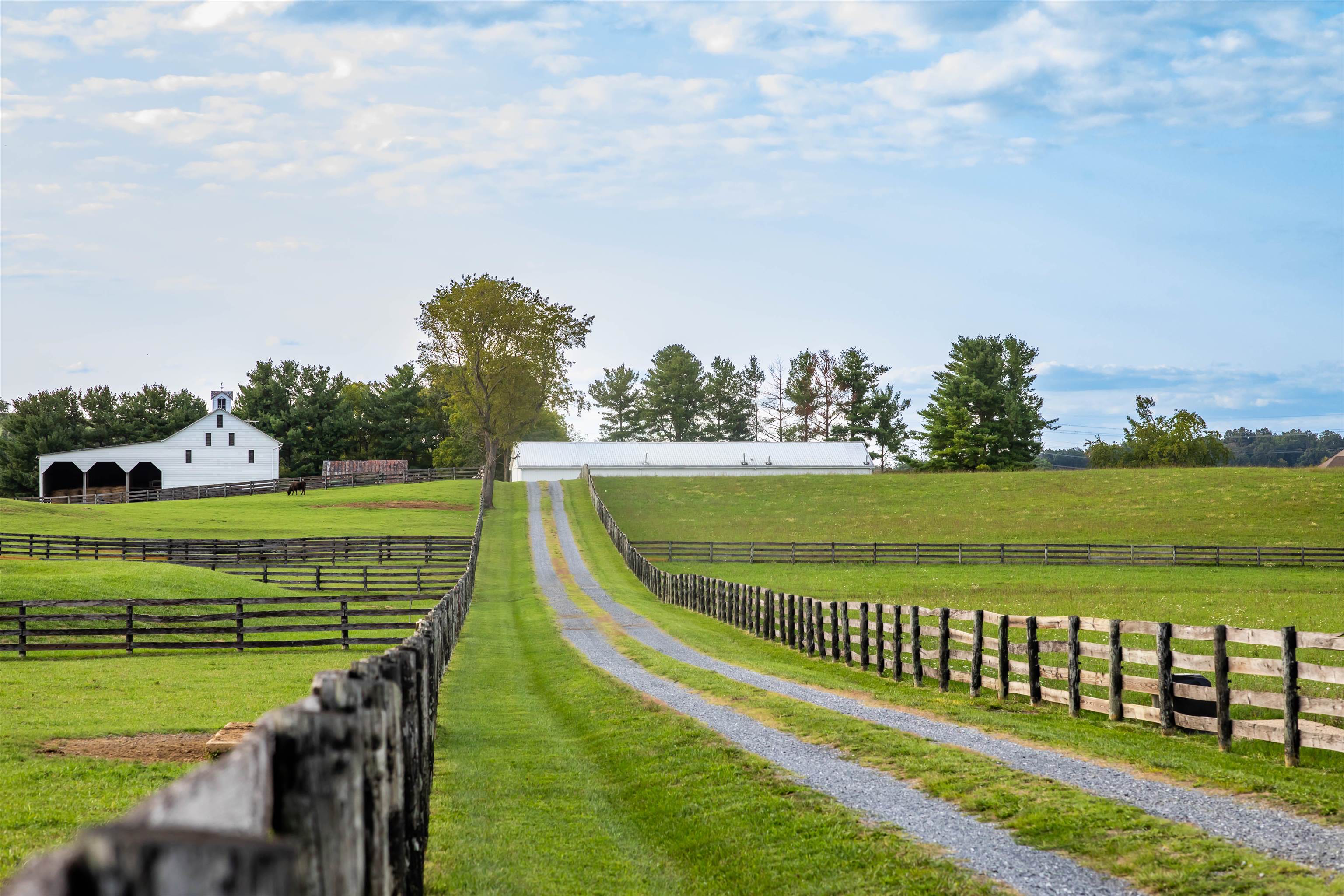 995 OLD WHITE BRIDGE RD, WAYNESBORO, Virginia 22980, 5 Bedrooms Bedrooms, ,4 BathroomsBathrooms,Residential,14,995 OLD WHITE BRIDGE RD,656380 MLS # 656380
