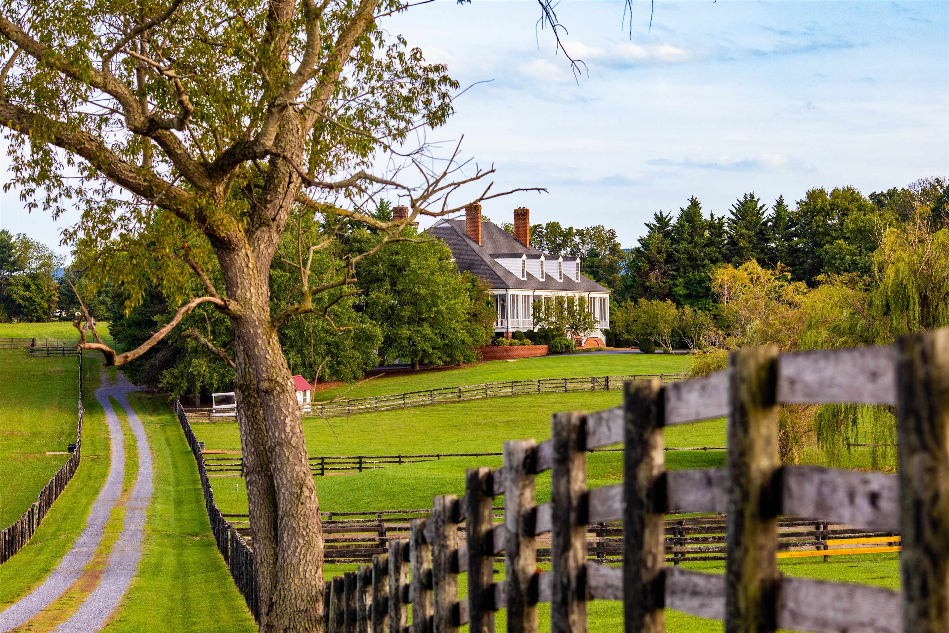 995 OLD WHITE BRIDGE RD, WAYNESBORO, Virginia 22980, 5 Bedrooms Bedrooms, ,4 BathroomsBathrooms,Residential,14,995 OLD WHITE BRIDGE RD,656380 MLS # 656380