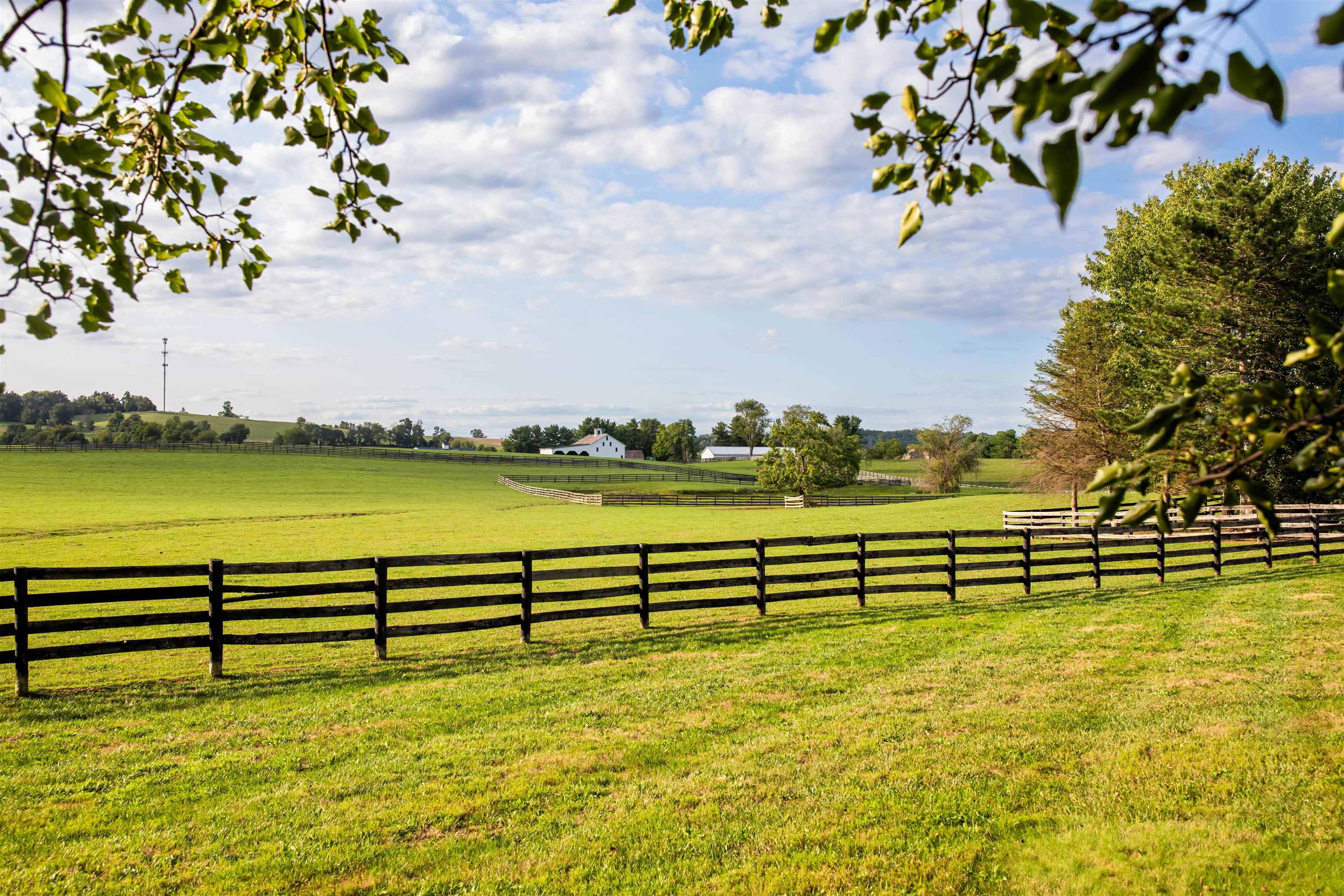 995 OLD WHITE BRIDGE RD, WAYNESBORO, Virginia 22980, 5 Bedrooms Bedrooms, ,4 BathroomsBathrooms,Residential,14,995 OLD WHITE BRIDGE RD,656380 MLS # 656380