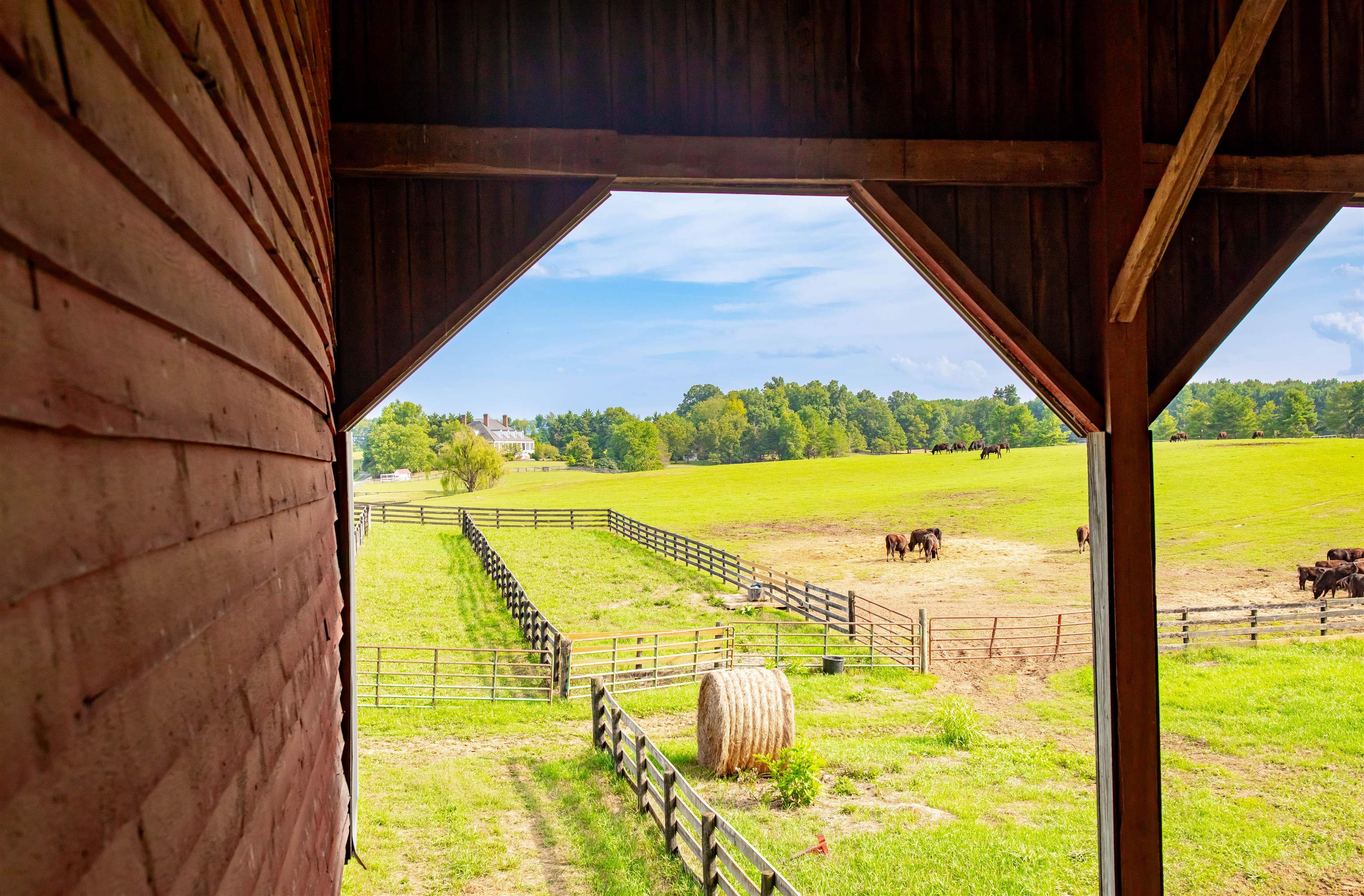 995 OLD WHITE BRIDGE RD, WAYNESBORO, Virginia 22980, 5 Bedrooms Bedrooms, ,4 BathroomsBathrooms,Residential,14,995 OLD WHITE BRIDGE RD,656380 MLS # 656380