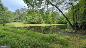 LOT 0110 MOUNTAIN TRACK RD ORANGE Virginia 22960