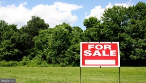 250-284 GOSHEN RD, CUMBERLAND, Virginia 23040, ,Land,For Sale,250-284 GOSHEN RD,VACB2000026 MLS # VACB2000026