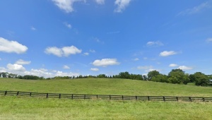 47 acres N LEE HWY, RAPHINE, Virginia 24472, ,Land,14,47 acres N LEE HWY,657369 MLS # 657369