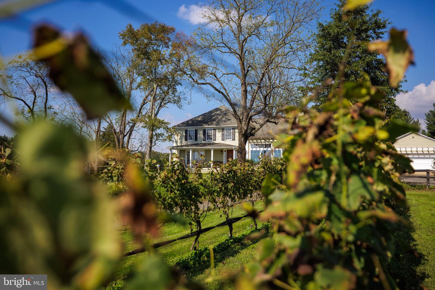 8105 WILLBOYD CT, MARSHALL, Virginia 20115, 4 Bedrooms Bedrooms, ,3 BathroomsBathrooms,Farm,For Sale,8105 WILLBOYD CT,VAFQ2014270 MLS # VAFQ2014270