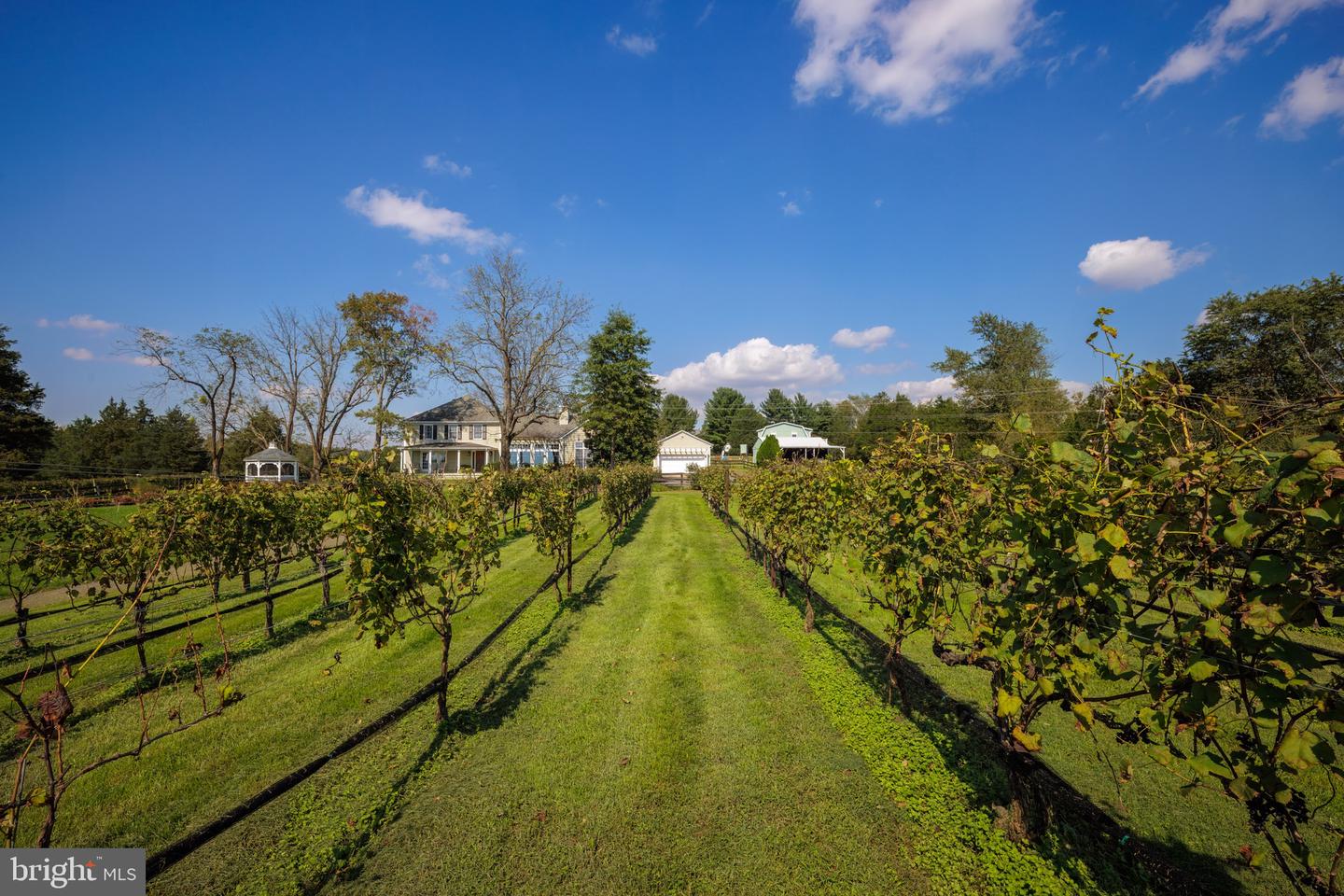 8105 WILLBOYD CT, MARSHALL, Virginia 20115, 4 Bedrooms Bedrooms, ,3 BathroomsBathrooms,Farm,For Sale,8105 WILLBOYD CT,VAFQ2014270 MLS # VAFQ2014270